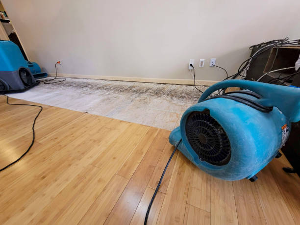 Professional Flood Damage Cleanup technician working in Winona, TX